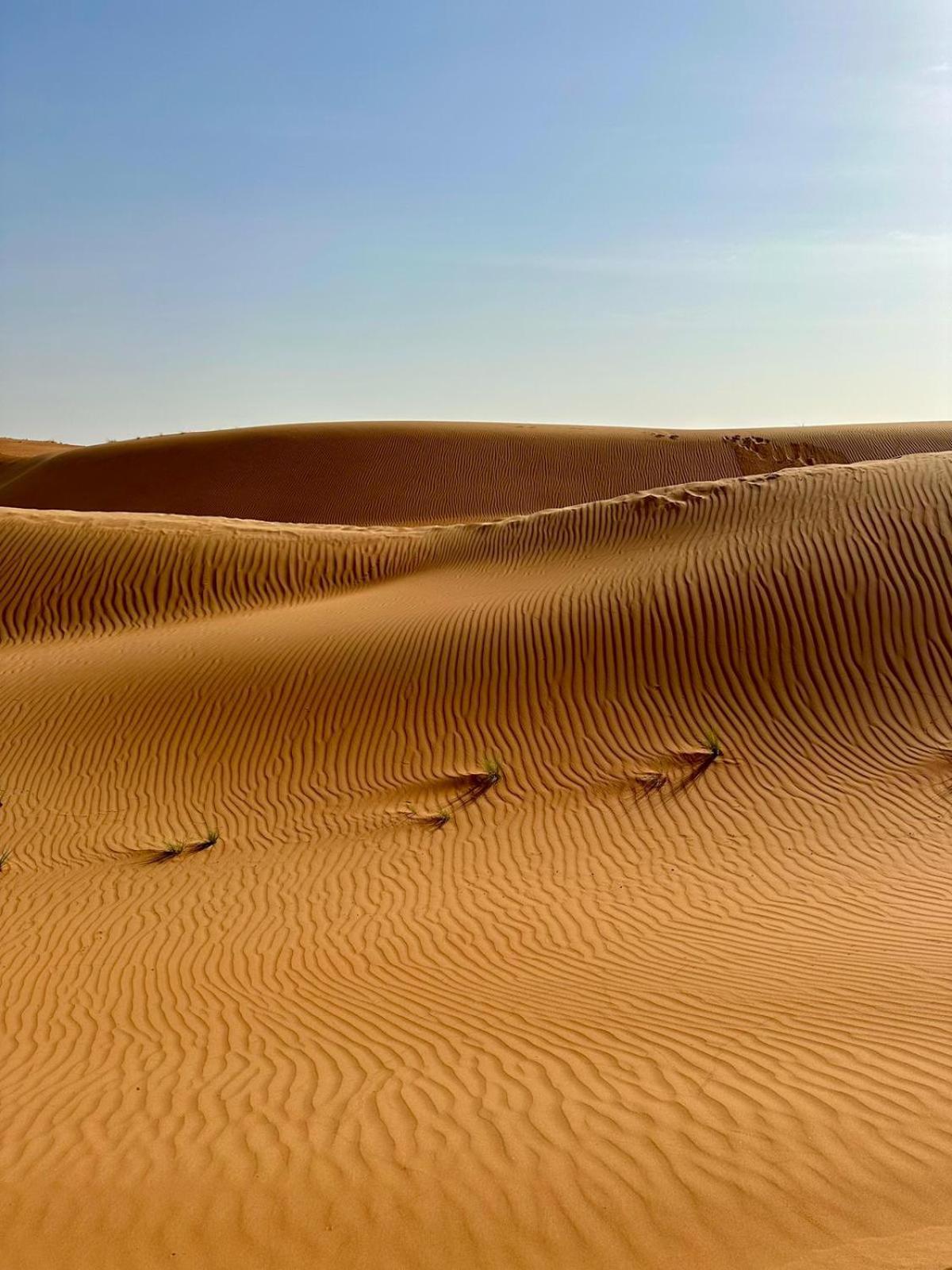 Sandglass Camp Badīyah Dış mekan fotoğraf