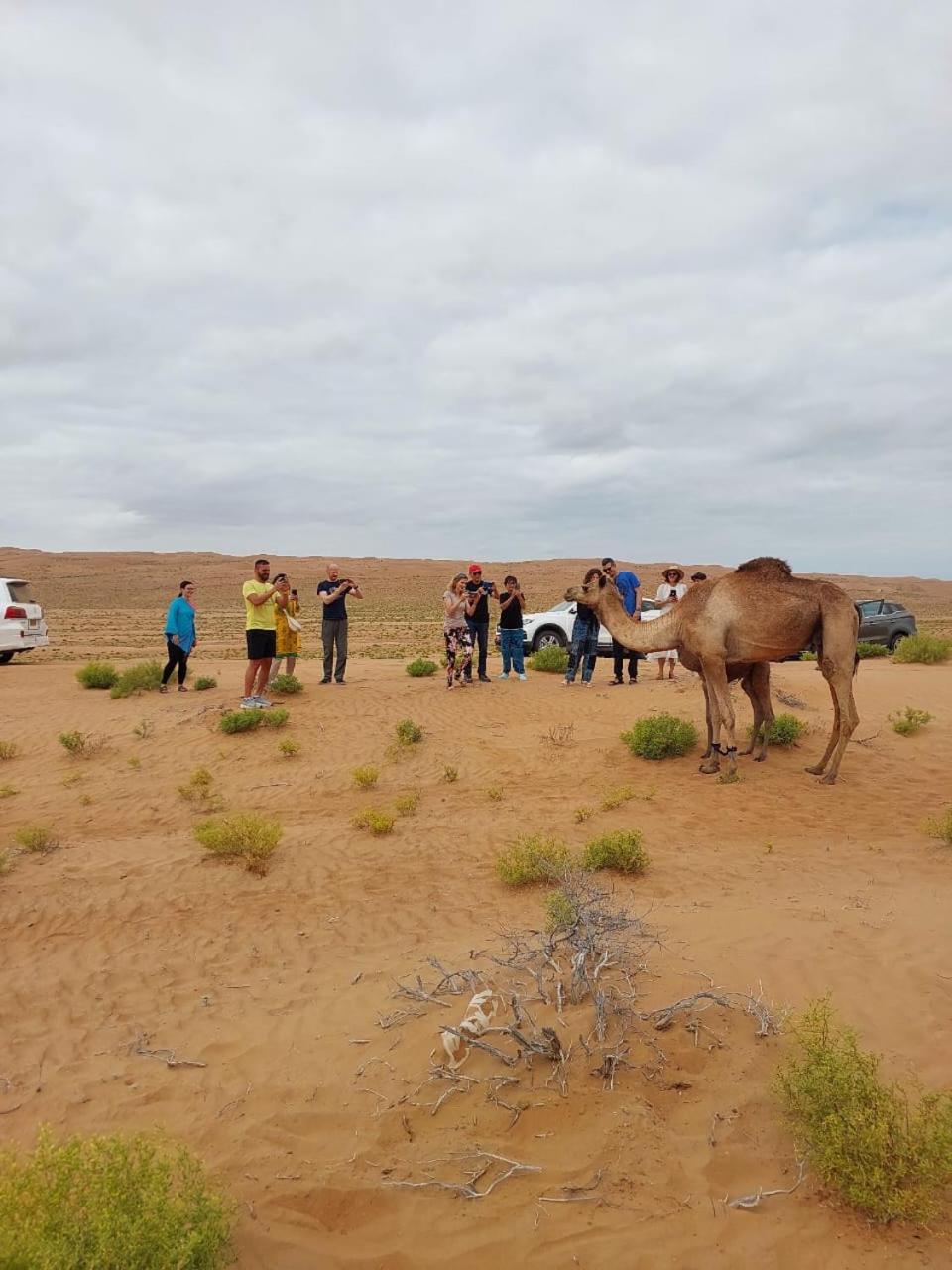 Sandglass Camp Badīyah Dış mekan fotoğraf